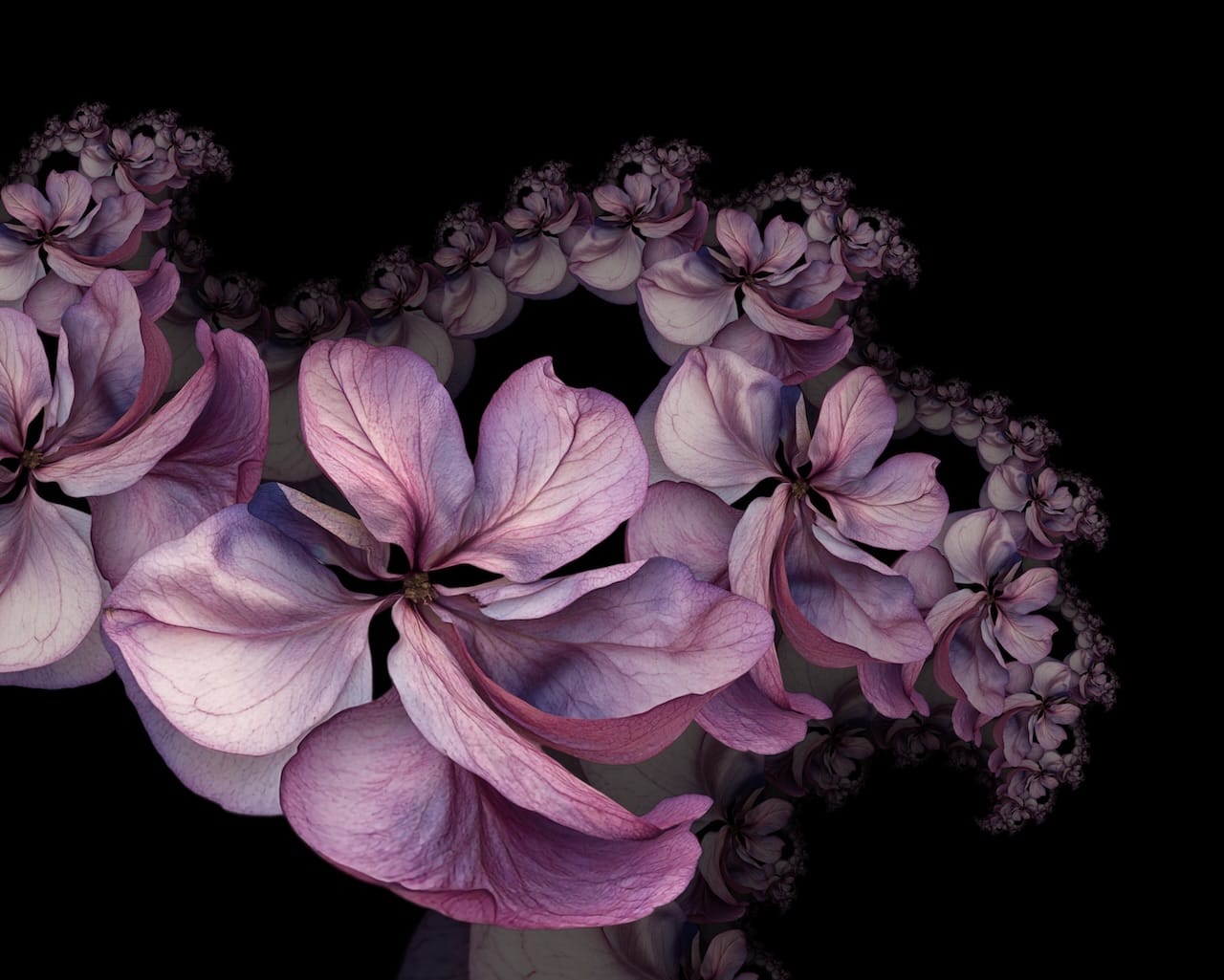 Introducing Repper Labs